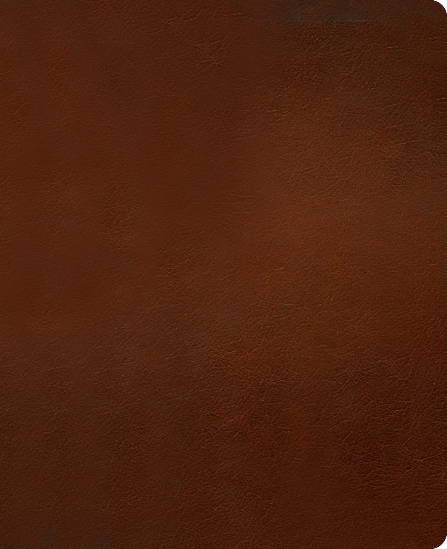 NLT Wide Margin Bible, Filament Enabled (Genuine Leather, Brown, Indexed, Red Letter)