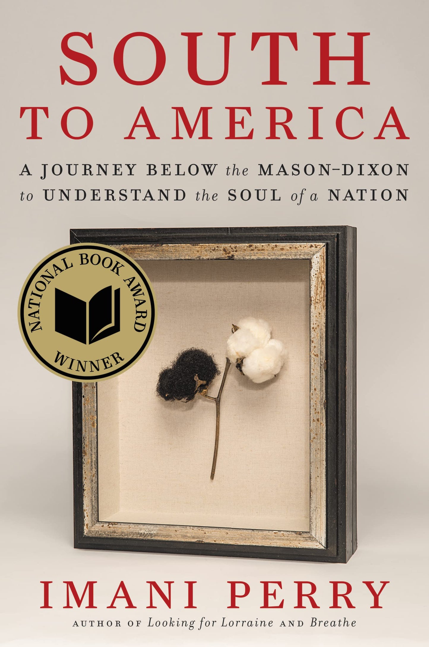 South to America: A Journey Below the Mason-Dixon