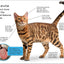 DK Super Readers Level 2 Cats and Kittens