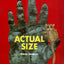 Actual Size by Steve Jenkins