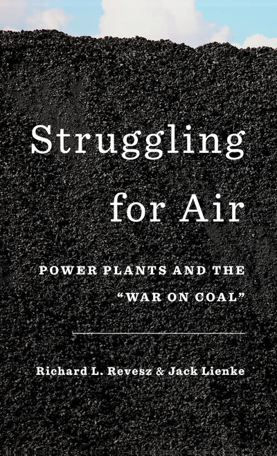 Struggling for Air: Power Plants and the "War on Coal"