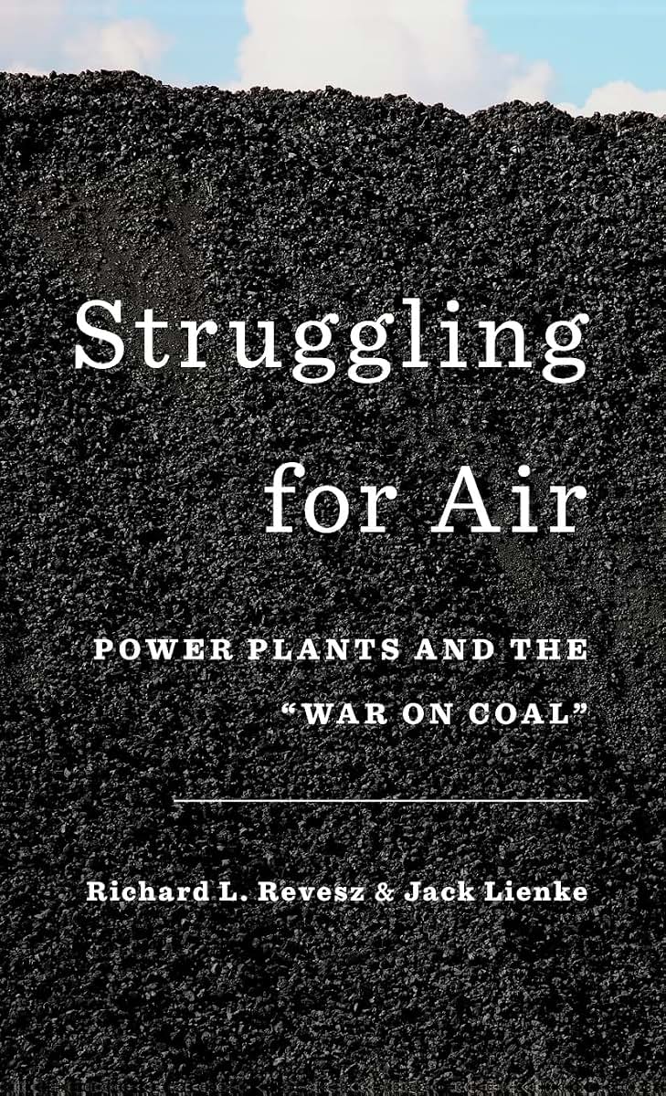 Struggling for Air: Power Plants and the "War on Coal"