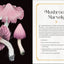 Mystical Mushrooms: Discover the Magic & Folklore of Fantastic Fungi