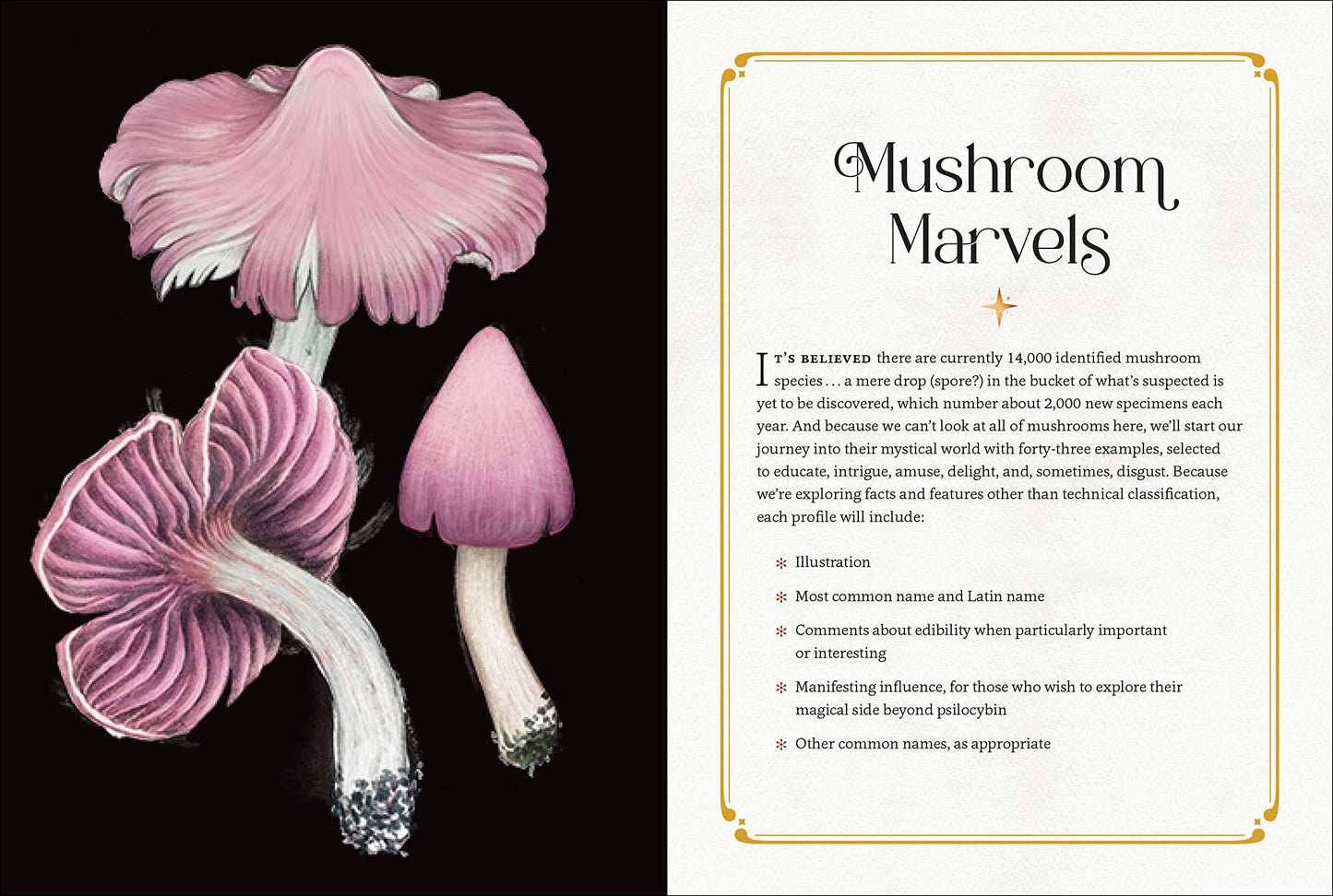 Mystical Mushrooms: Discover the Magic & Folklore of Fantastic Fungi