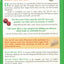 Your Hidden Food Allergies Are Making You Fat