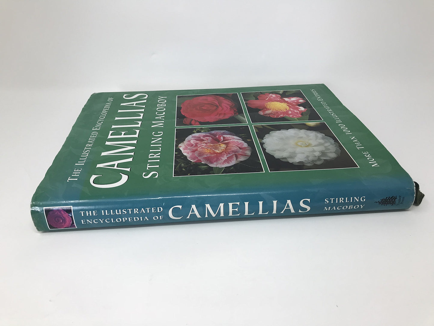 The Illustrated Encyclopedia of Camellias by Macoboy, Stirli