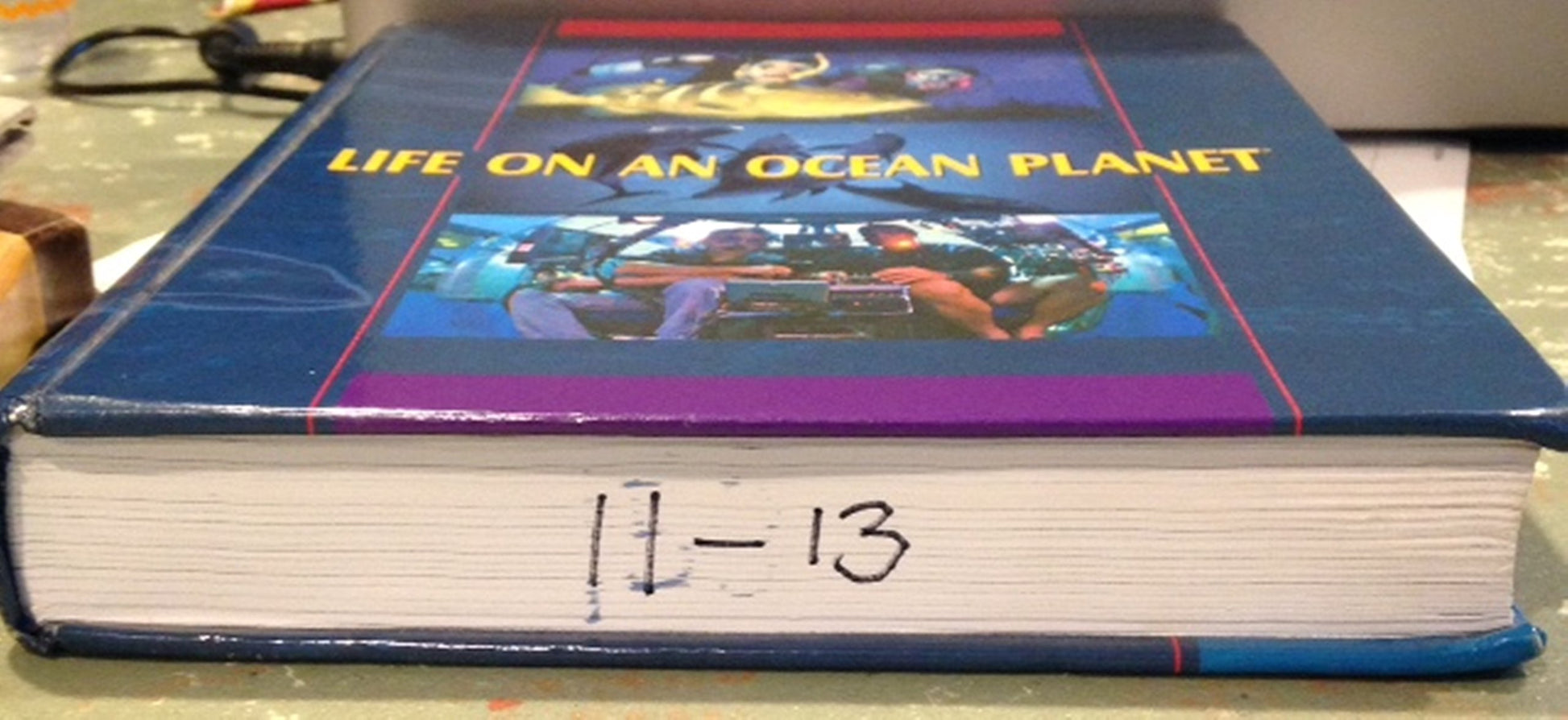 Life on an Ocean Planet