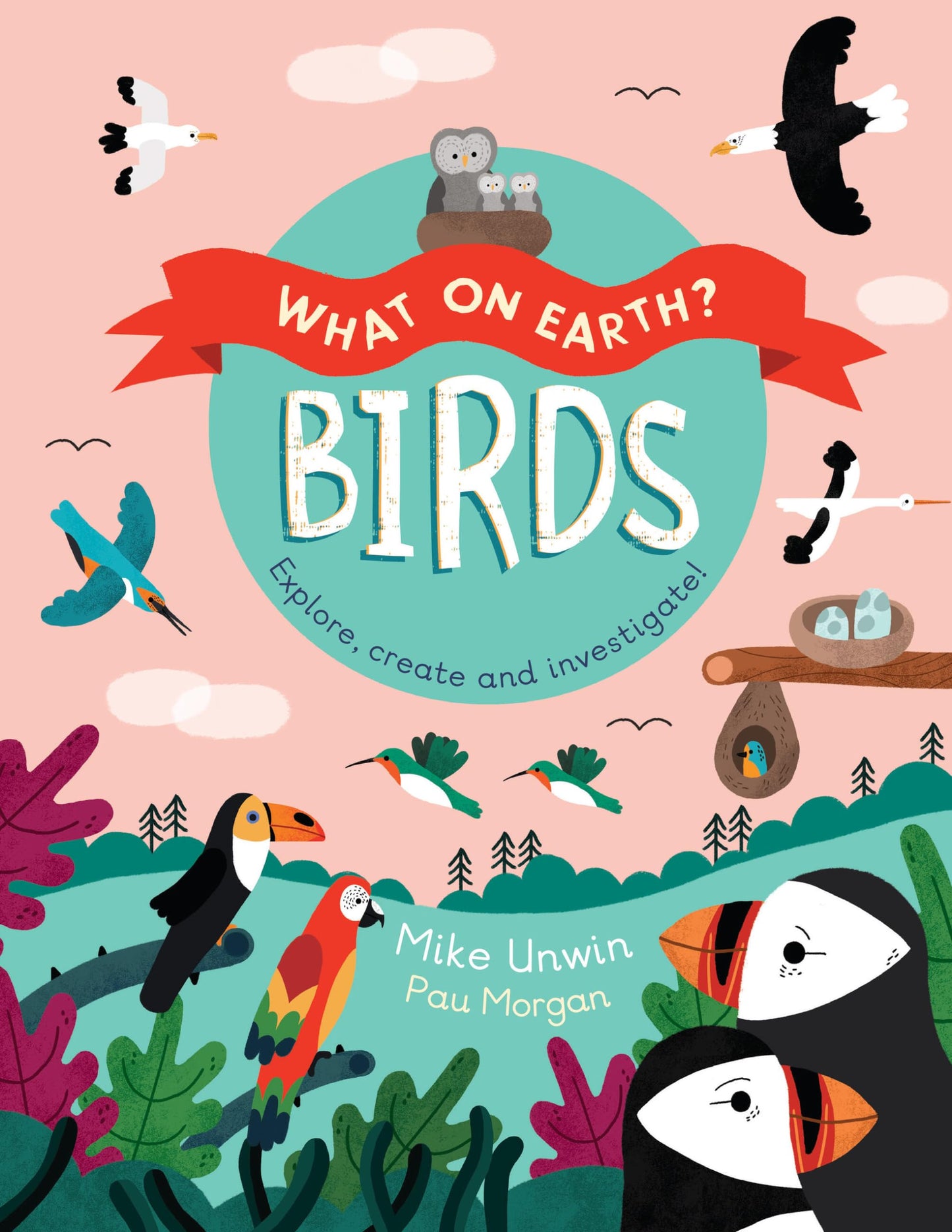 Birds: Explore, create, and investigate! (What On Earth?)