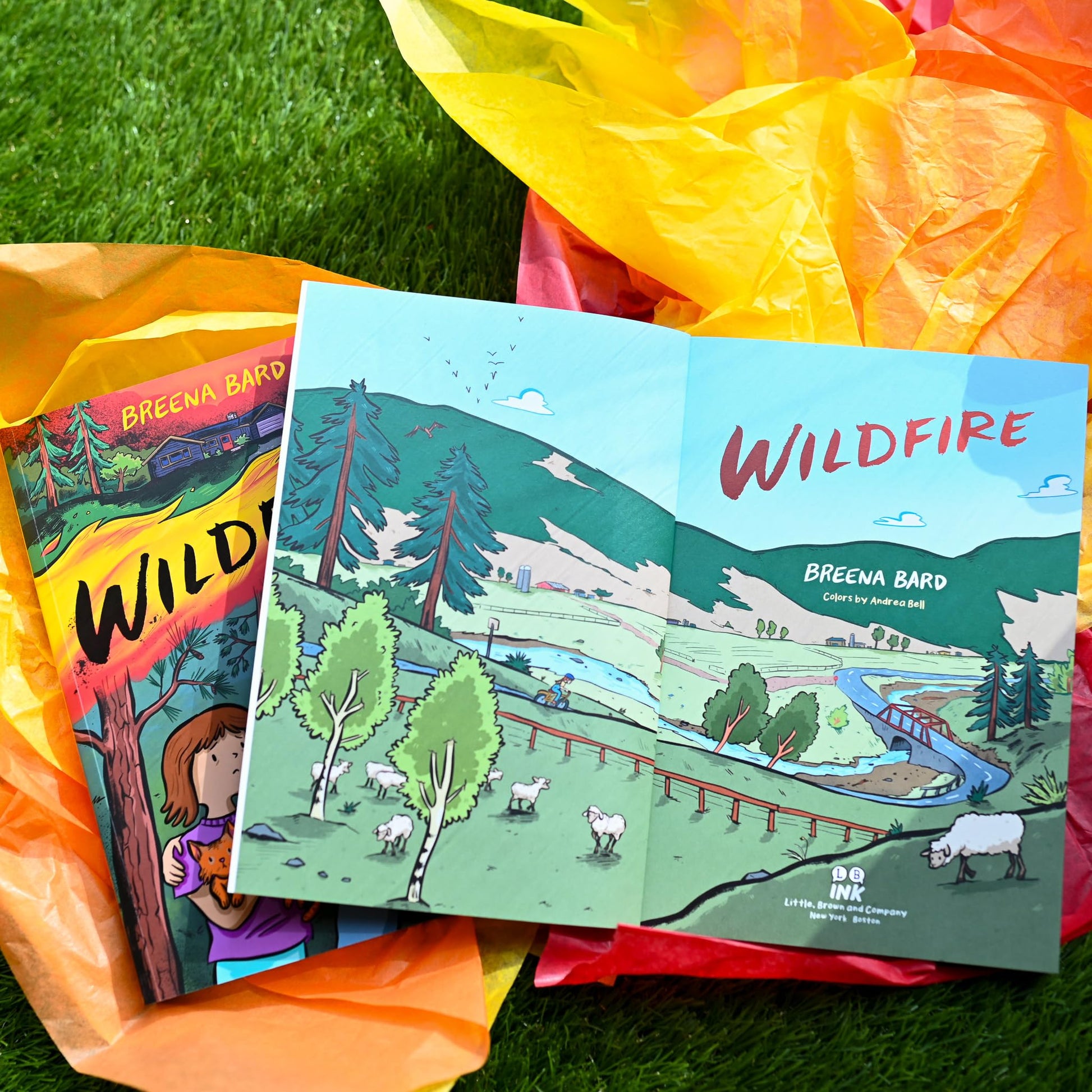 Wildfire (A Graphic Novel)