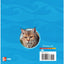 Reading Mastery Reading/Literature Strand Grade 3, Literature Anthology (READING MASTERY LEVEL VI)
