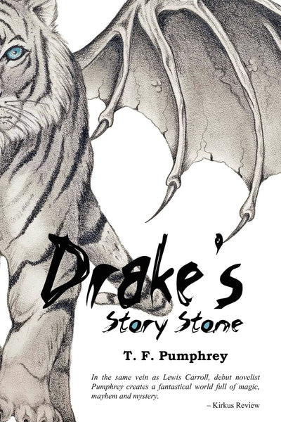 Drake's Story Stone