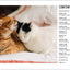 Understanding Cat Behavior: A Compassionate Guide to Training and Communication