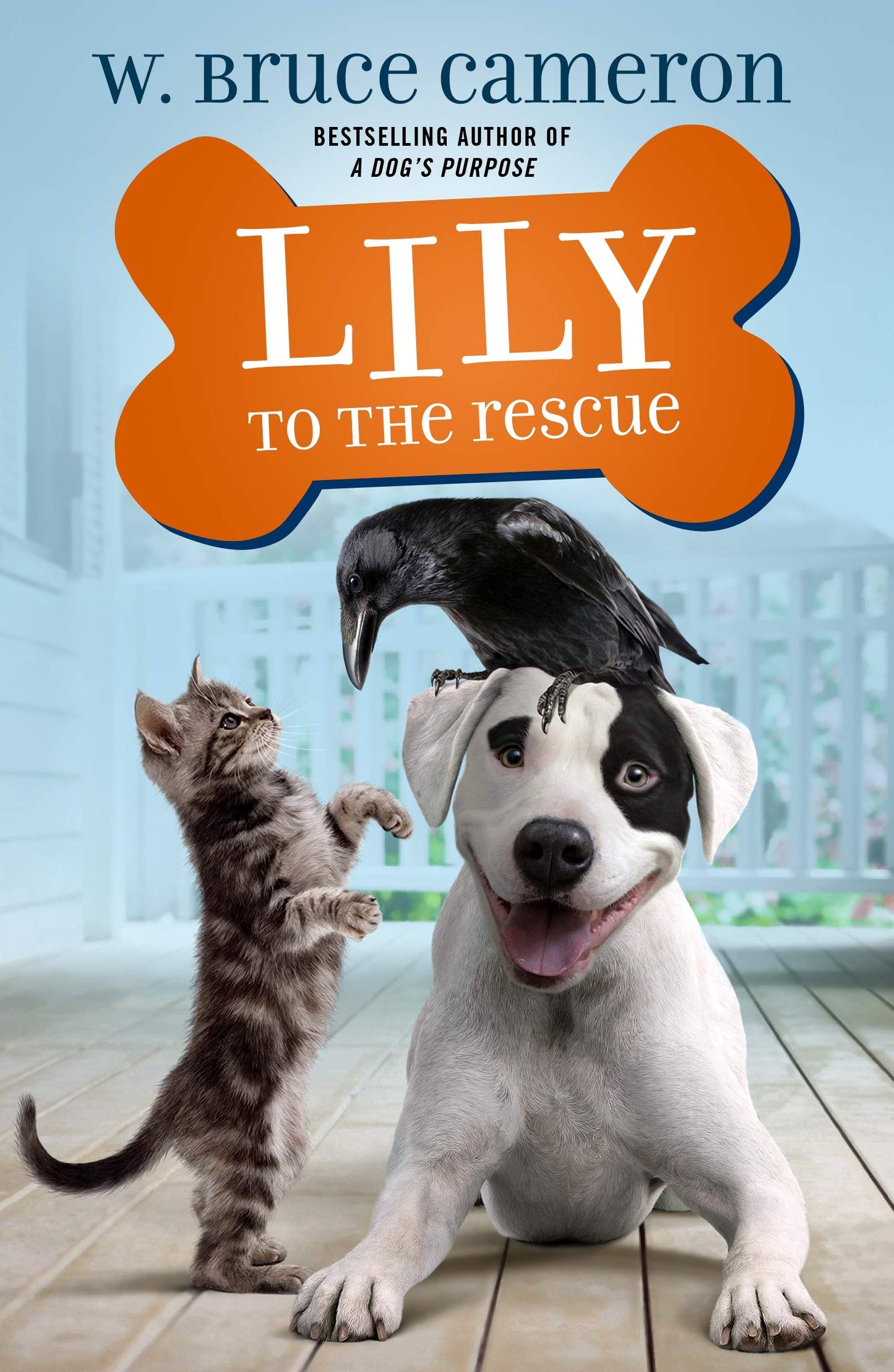 Lily to the Rescue (Lily to the Rescue!, 1)