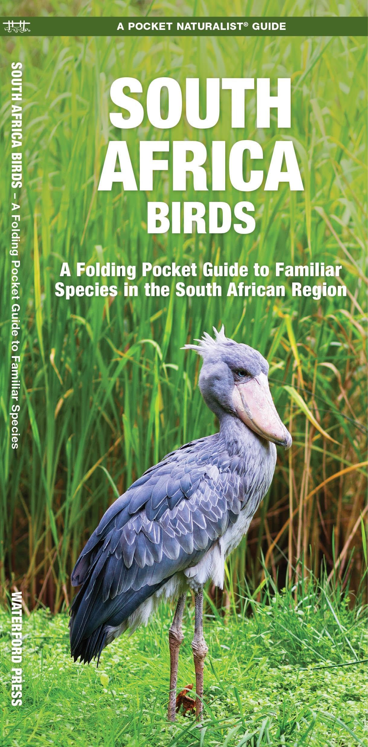 South Africa Birds: A Folding Pocket Guide to Familiar Species in the South African Region (Nature Observation International)