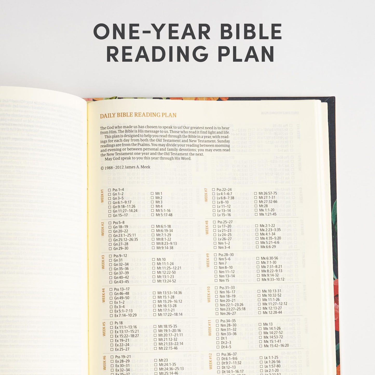 CSB Notetaking Bible, Hosanna Revival Edition, Dahlias Cloth Over Board, Black Letter, Single-Column, Journaling Space, Reading Plan, Easy-to-Read Bible Serif Type