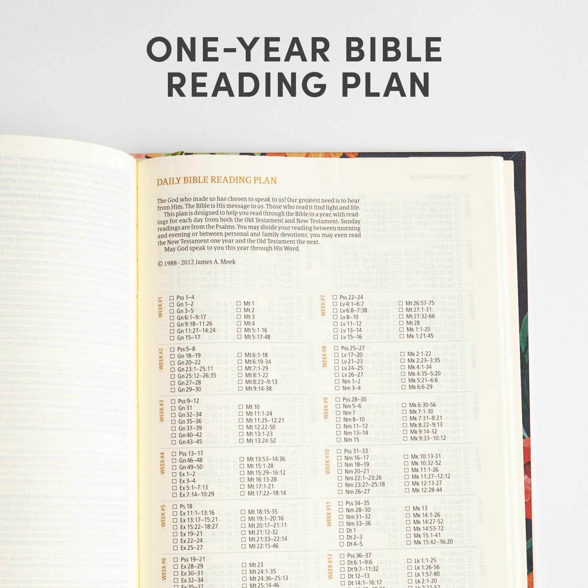CSB Notetaking Bible, Hosanna Revival Edition, Dahlias Cloth Over Board, Black Letter, Single-Column, Journaling Space, Reading Plan, Easy-to-Read Bible Serif Type