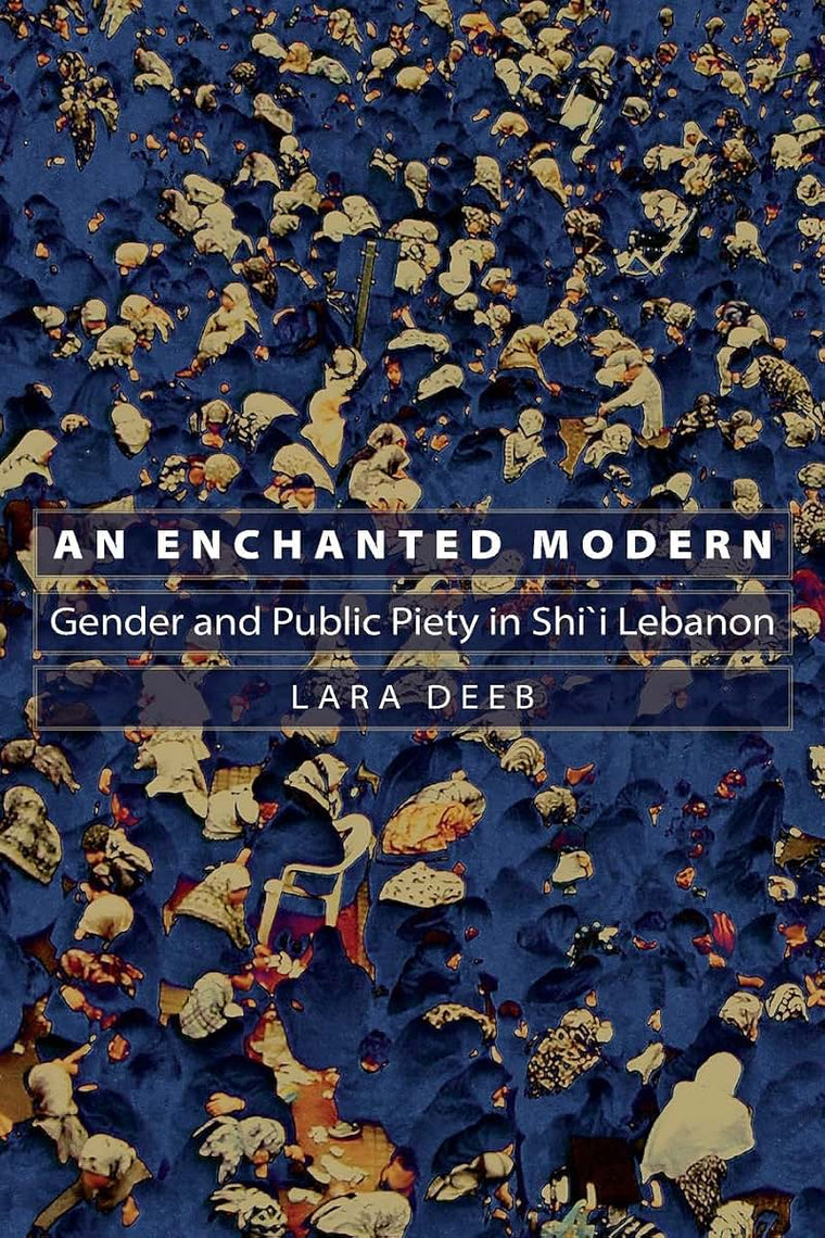 An Enchanted Modern: Gender and Public Piety in Shi'i Lebanon (Princeton Studies in Muslim Politics)