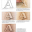 Pyrography Basics: Techniques and Exercises for Beginners (Design Originals) Patterns for Woodburning with Skill-Building Step-by-Step Instructions and Advice from Lora Irish on Texture and Layering