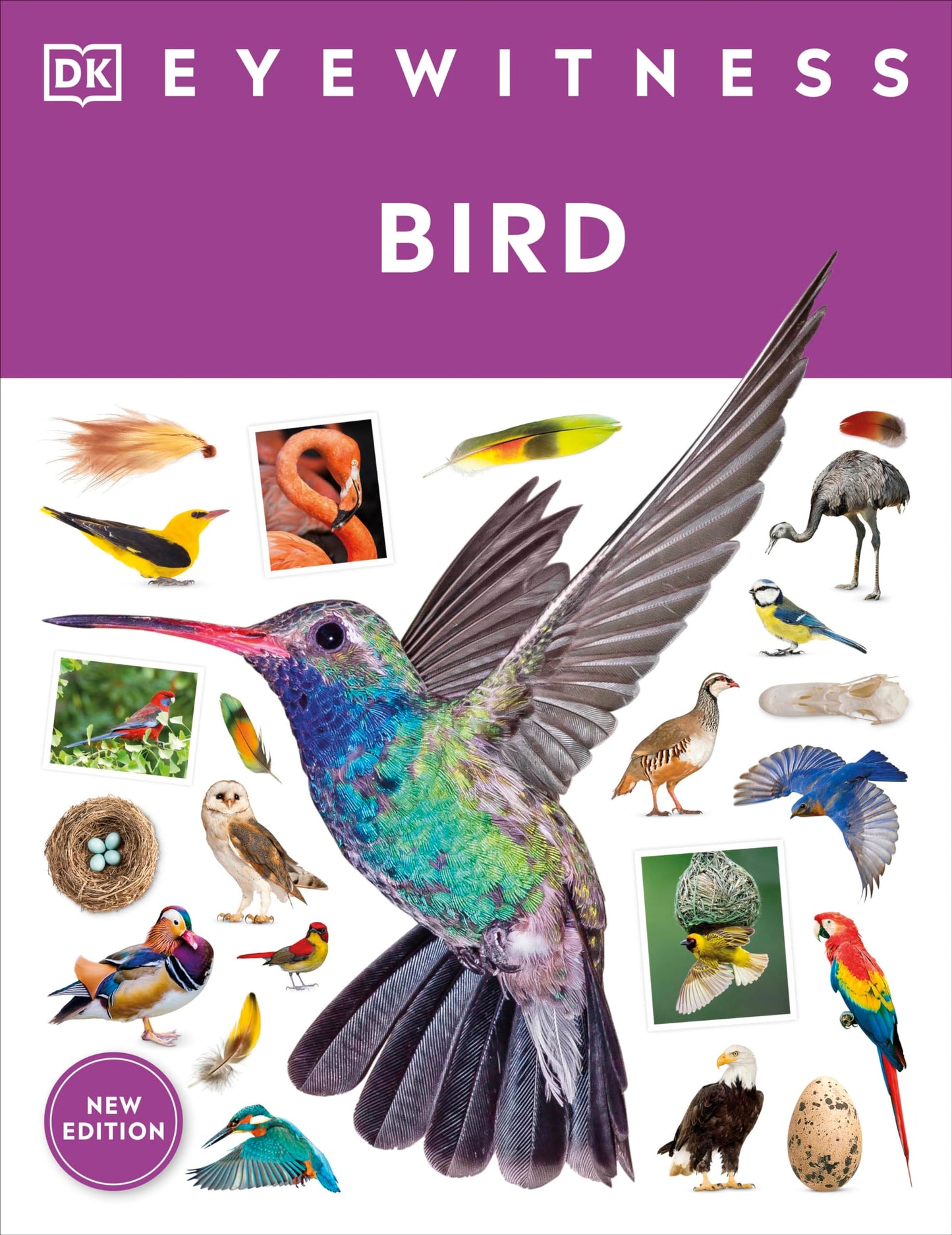 Eyewitness Bird (DK Eyewitness)
