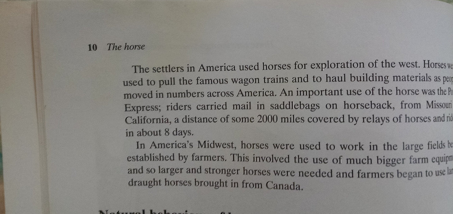 Horse and Stable Management
