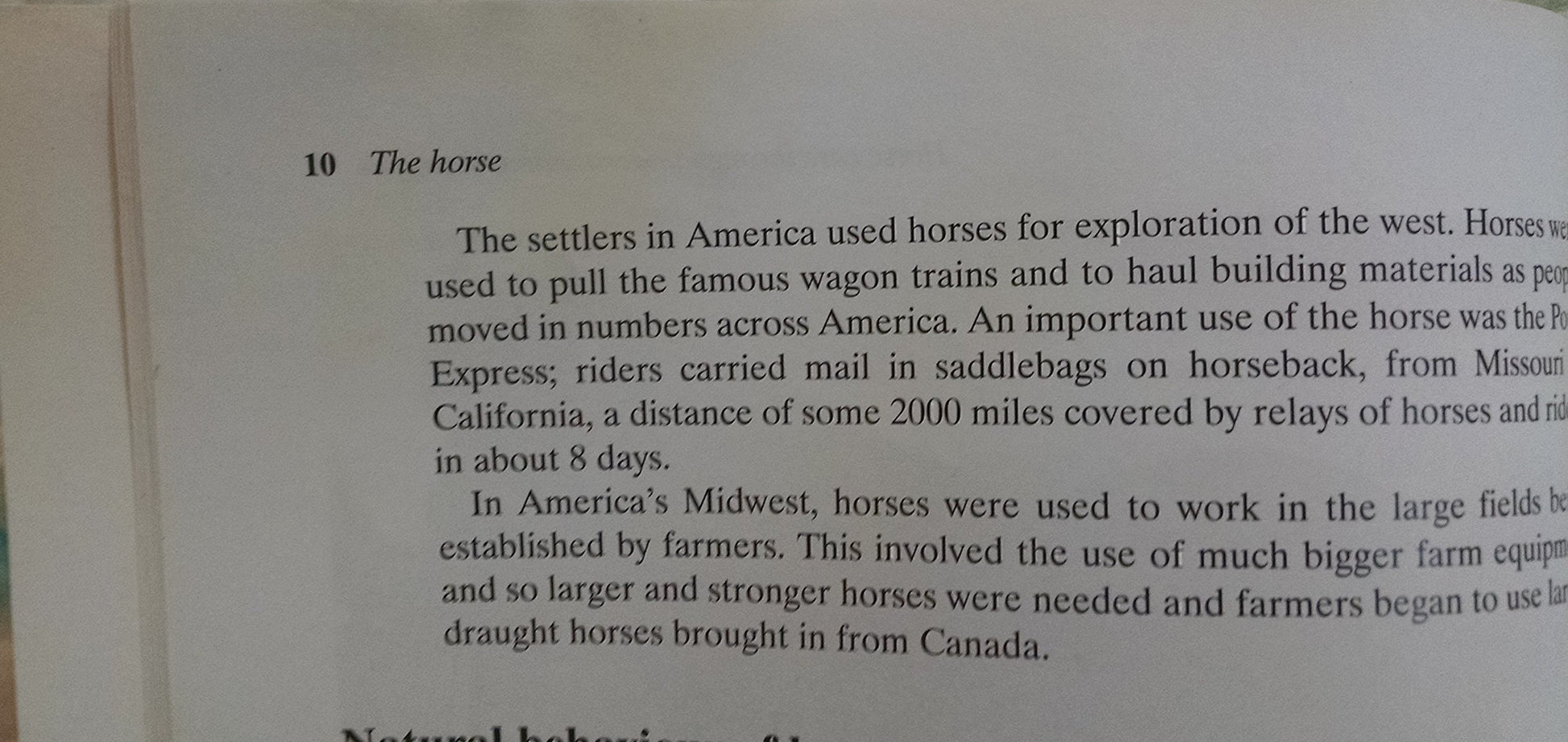 Horse and Stable Management