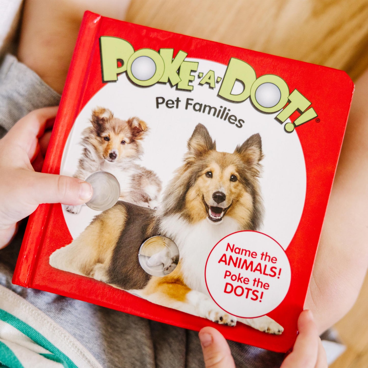 Melissa & Doug Poke-a-Dot - Pet Families