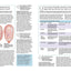 The Pregnancy Encyclopedia: All Your Questions Answered