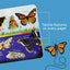 Butterflies and Moths (Smithsonian Kids First Discovery Books)