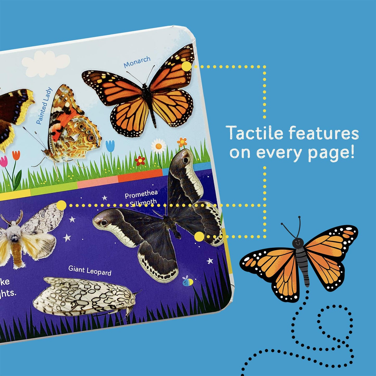 Butterflies and Moths (Smithsonian Kids First Discovery Books)