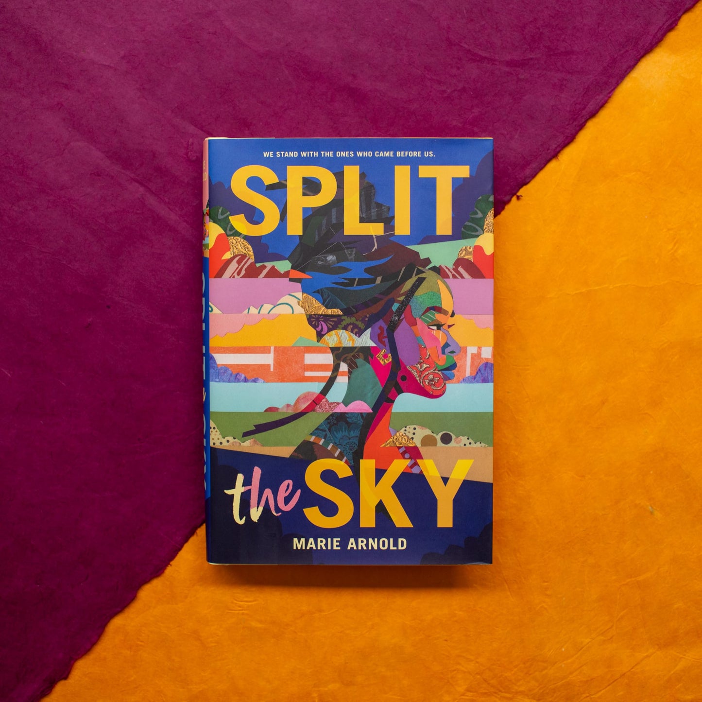 Split the Sky (Coretta Scott King Author Honor Title)