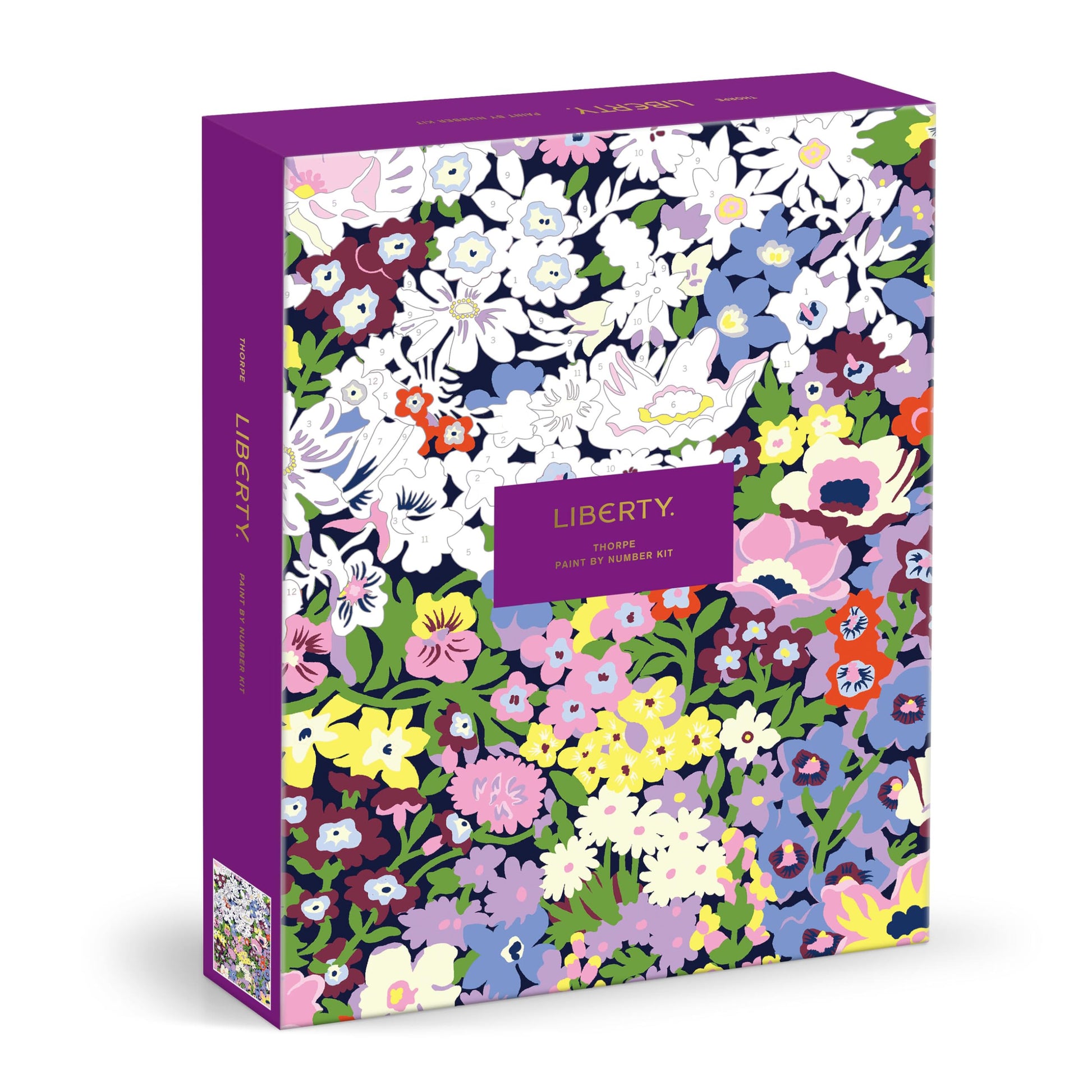 Galison Liberty Thorpe - DIY 9 x 12 Paint by Number Kit with Iconic Liberty Print Art for Beginners and Experts Includes Paint and Brushes