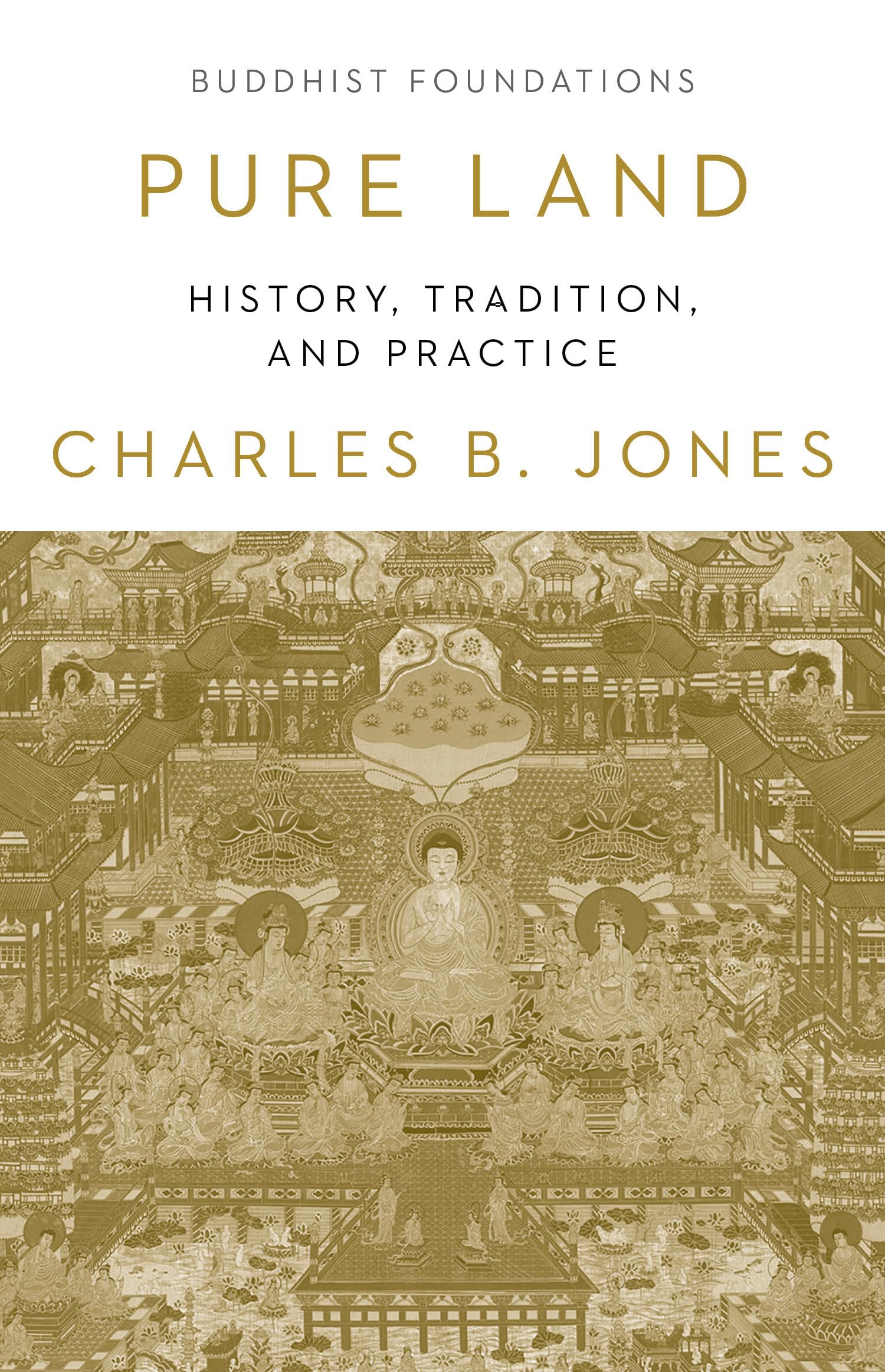 Pure Land: History, Tradition, and Practice (Buddhist Foundations)
