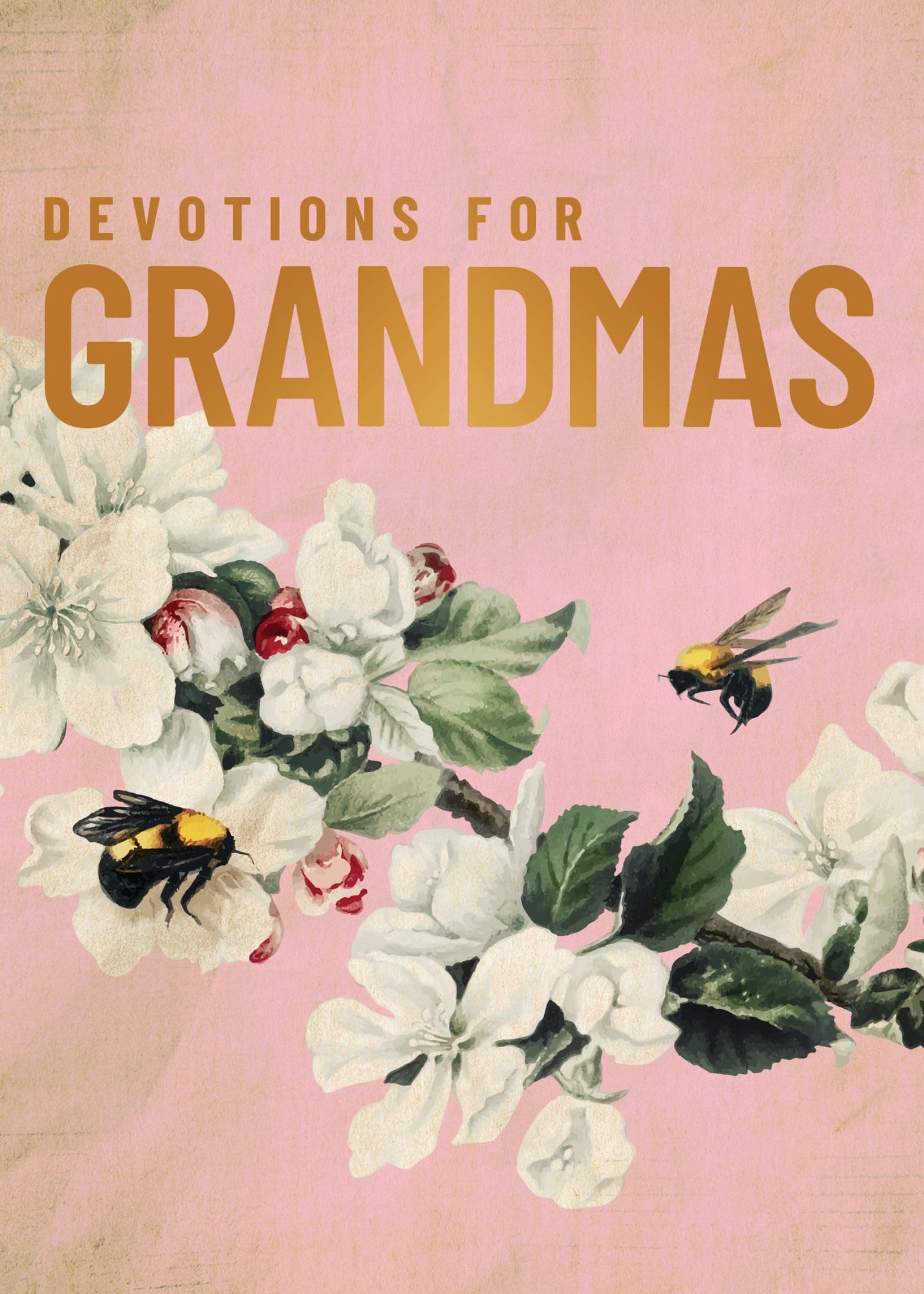 Devotions for Grandmas: A 40-Day Bible Devotional to Encourage and Inspire Grandmothers – The Perfect Mother’s Day Gift for Christian Moms
