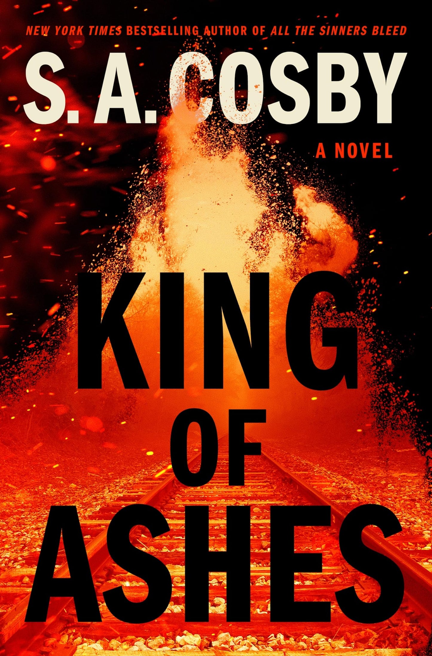 King of Ashes: A Novel