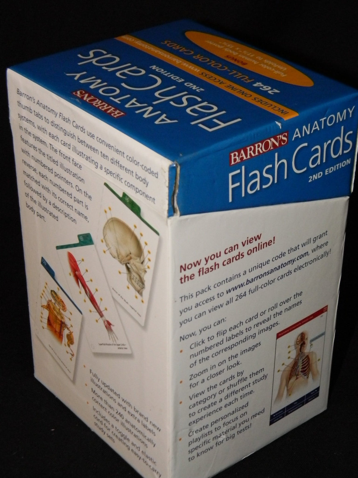 Barron's Anatomy Flash Cards, 2nd Edition