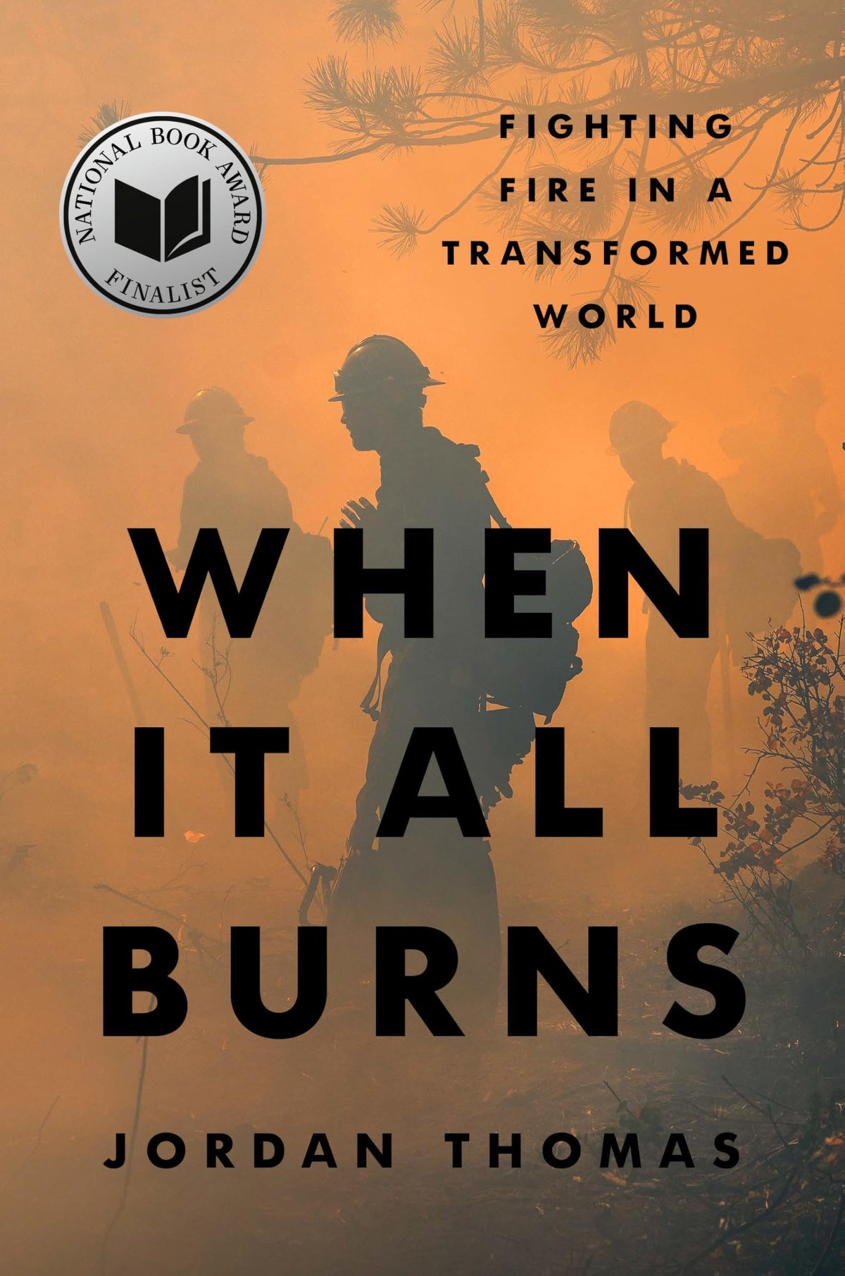 When It All Burns: Fighting Fire in a Transformed World