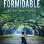But Not Formidable: A Clint Wolf Novel (Clint Wolf Mystery Series)