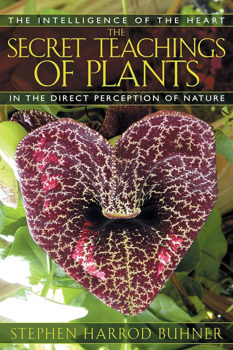 The Secret Teachings of Plants: The Intelligence of the Hear