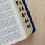 Biblia de Estudio Esquematizada RVR1960 Tapa imitación cuero colores, canto plateado (Spanish Edition)