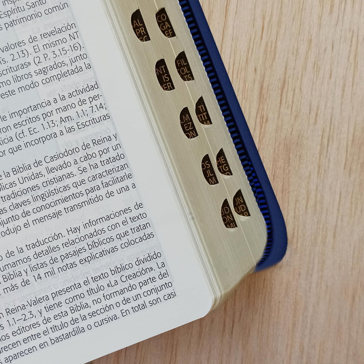 Biblia de Estudio Esquematizada RVR1960 Tapa imitación cuero colores, canto plateado (Spanish Edition)