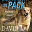 Leader of the Pack: An Andy Carpenter Mystery (An Andy Carpenter Novel, 10)