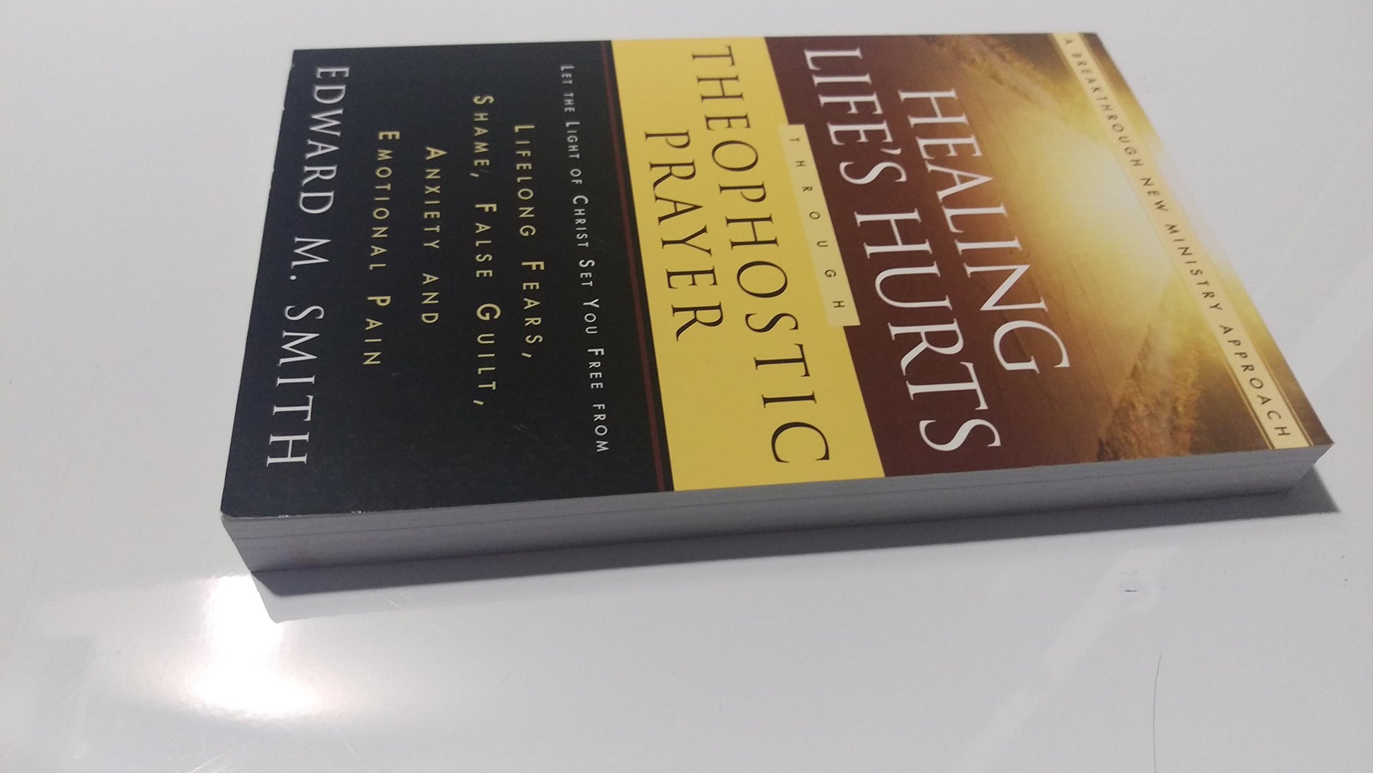 Healing Life's Hurts Through Theophostic Prayer: Let The Light Of Christ Set You Free From Lifelong Fears, Shame, False Guilt, Anxiety And Emotional Pain