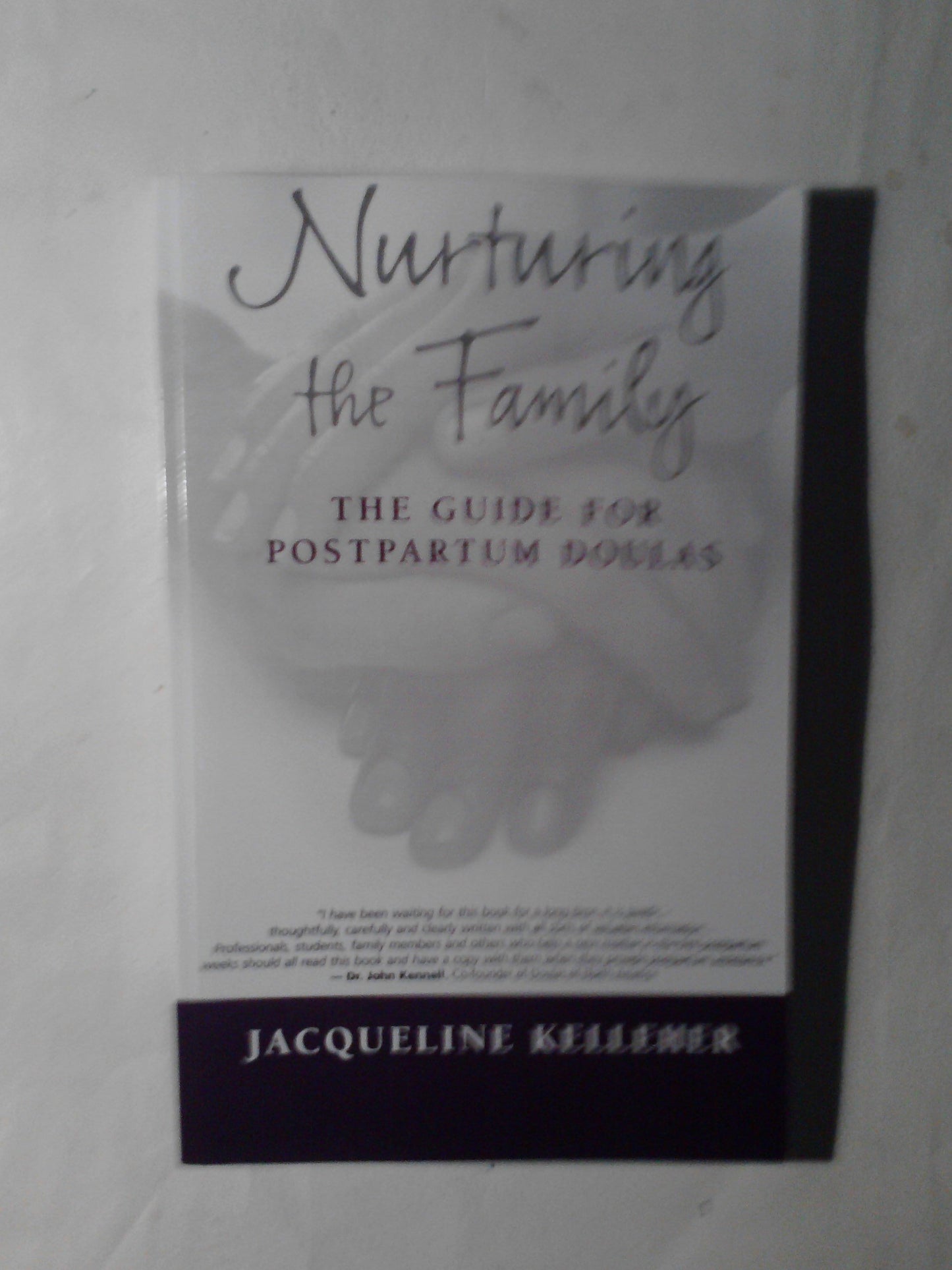 Nurturing the Family: The Guide for Postpartum Doulas