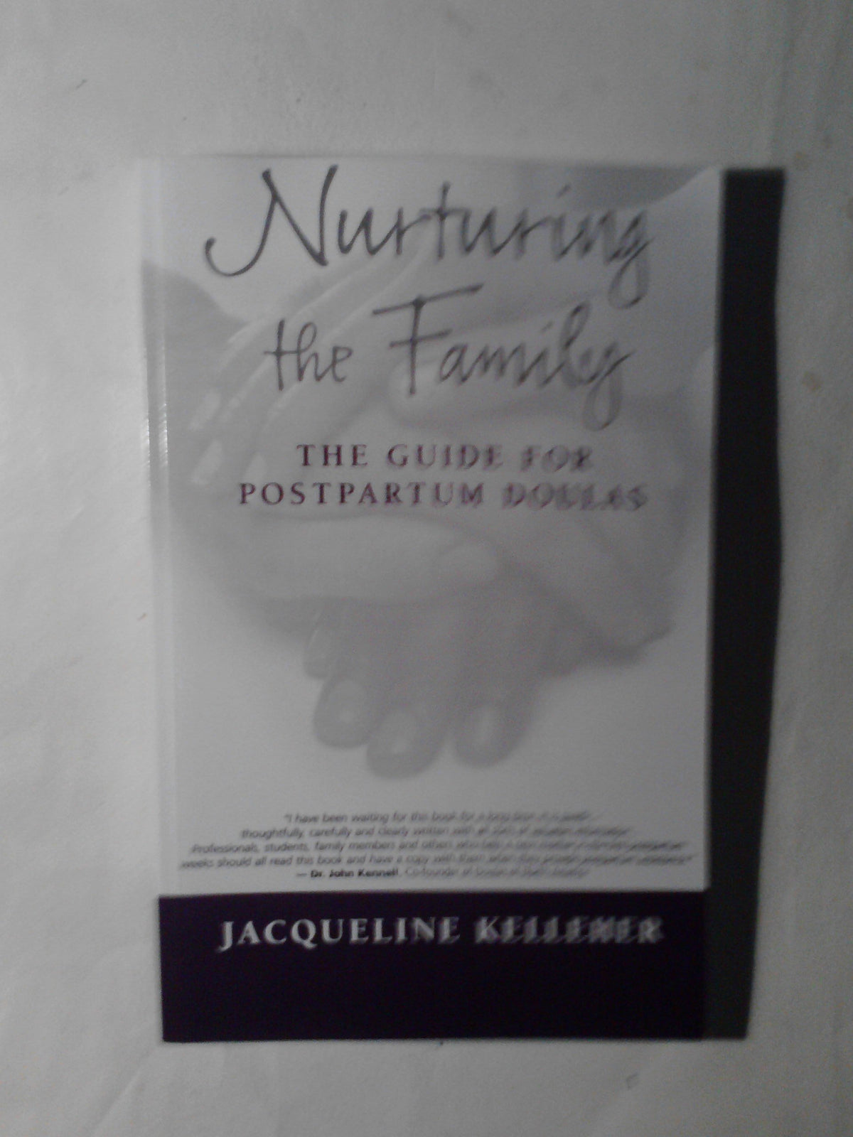 Nurturing the Family: The Guide for Postpartum Doulas