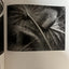 Seeing Straight: The F.64 Revolution in Photography