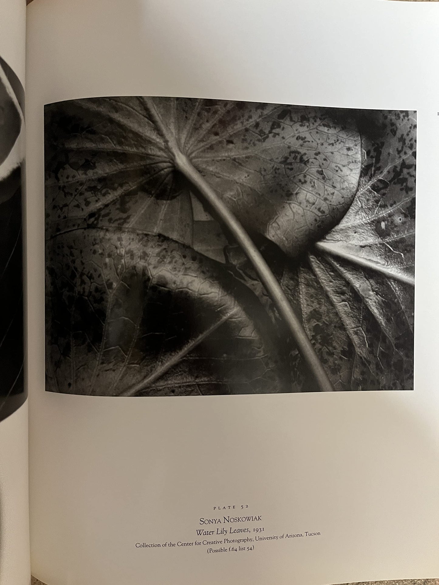 Seeing Straight: The F.64 Revolution in Photography