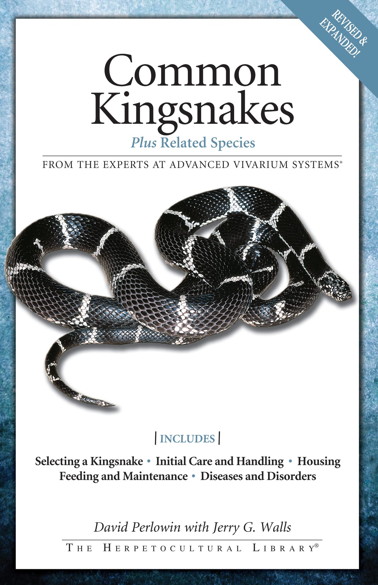 Common Kingsnakes (Advanced Vivarium Systems)