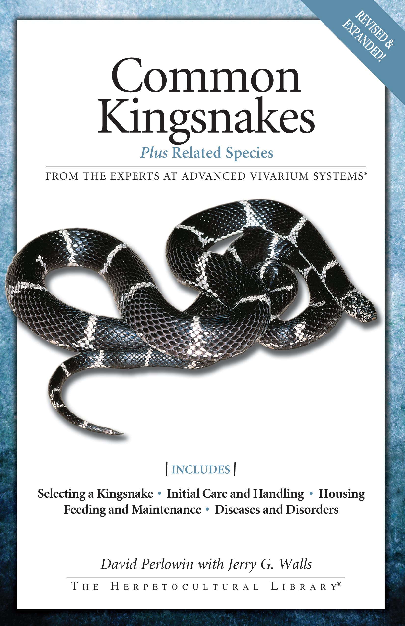 Common Kingsnakes (Advanced Vivarium Systems)