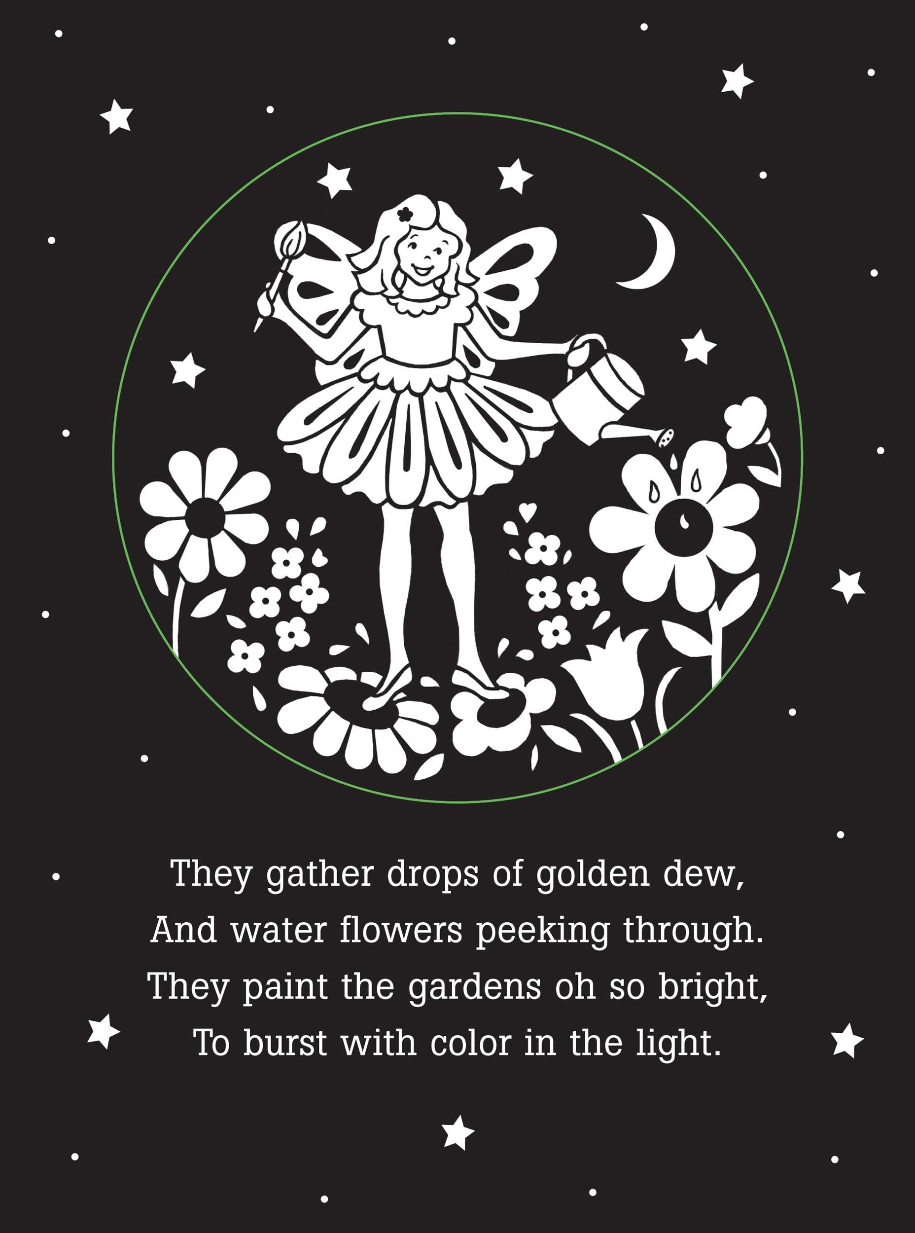 Nighttime Fairies: A Bedtime Shadow Book