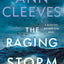 The Raging Storm (Matthew Venn series, 3)